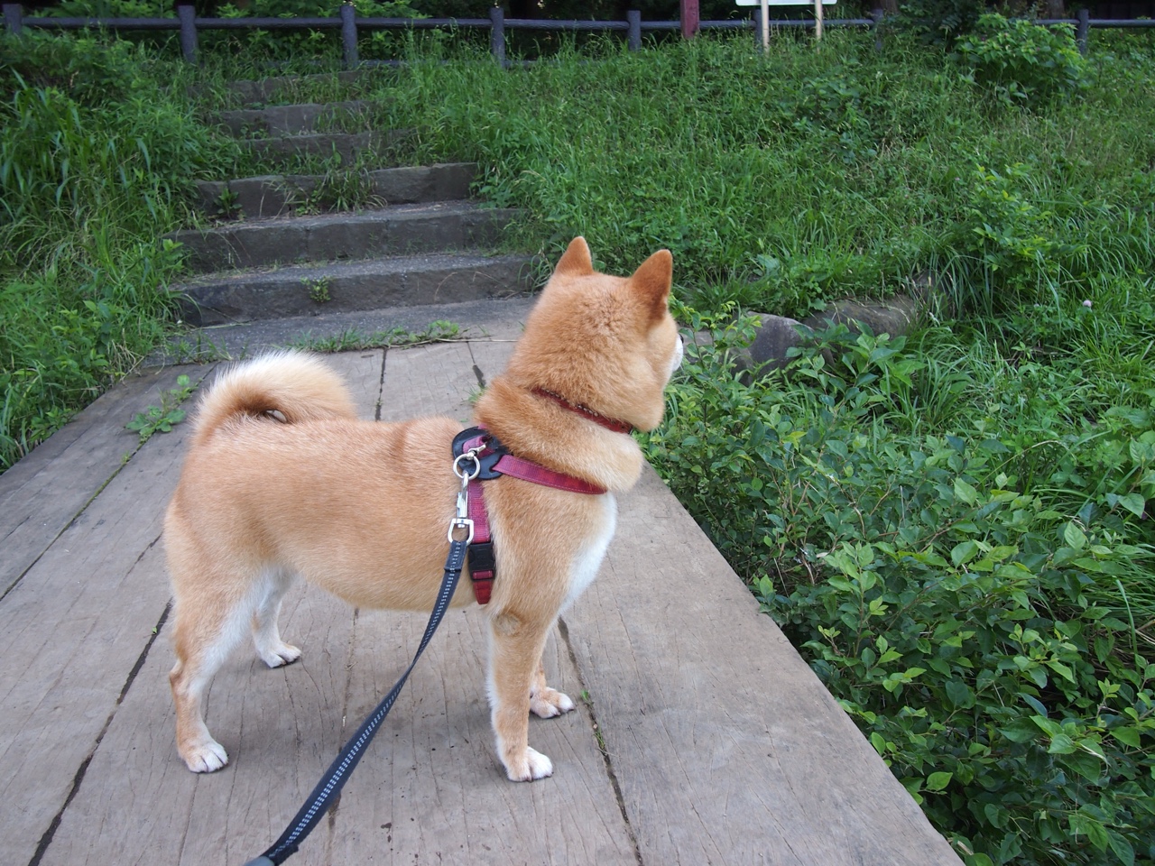 _极地探险骑行:在冰雪世界中追逐自由_,极地探险介绍