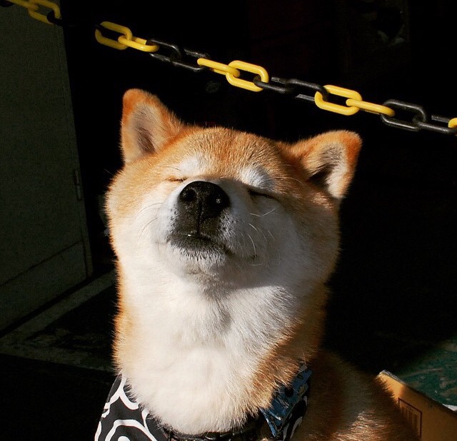 世界篮球日盛典:NBA全球化战略再升级,全球篮球比赛