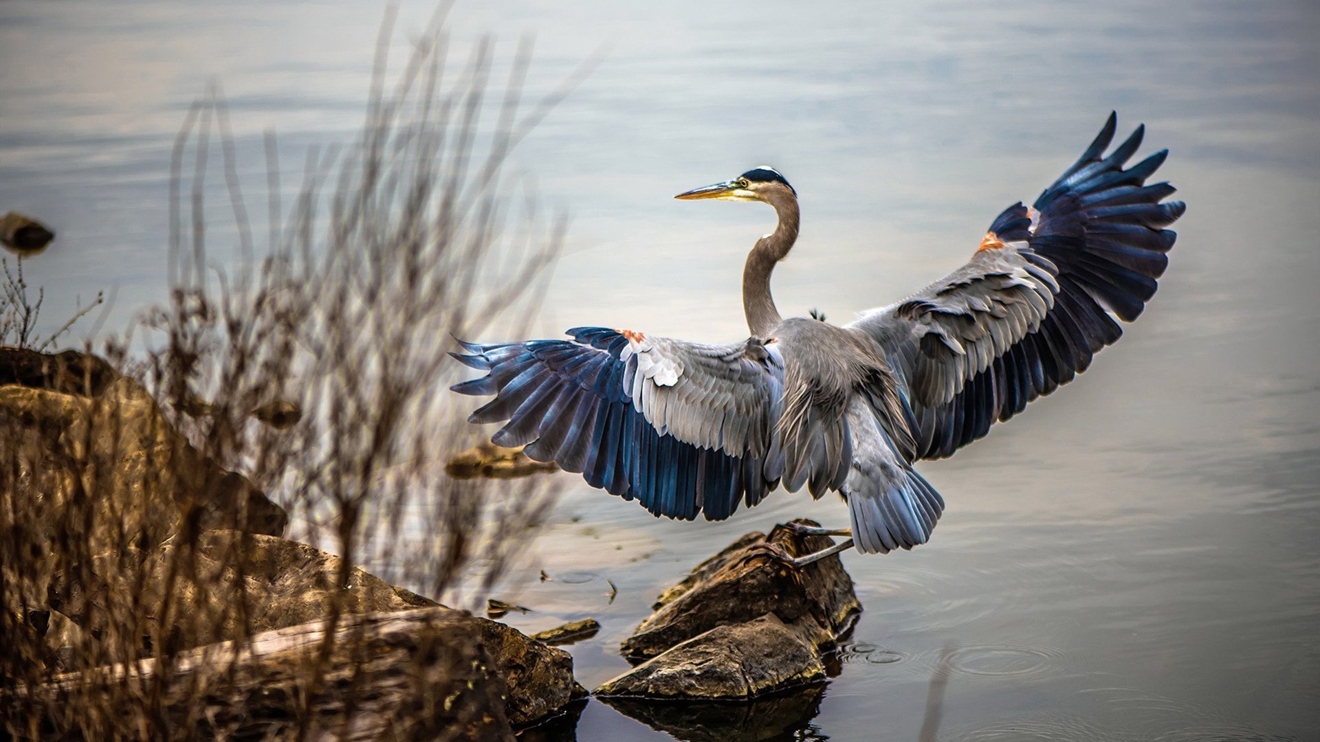 社区马拉松:全民健身新风尚,马拉松志愿者活动方案