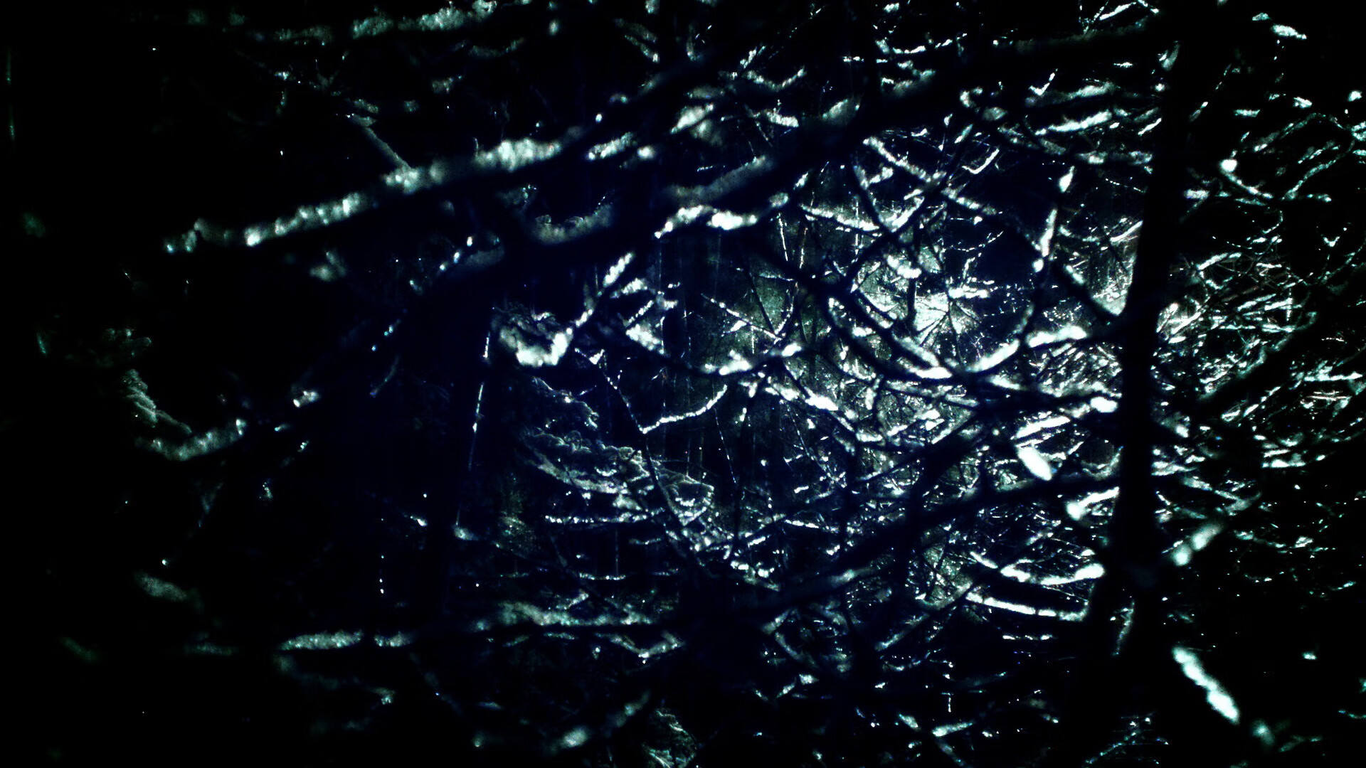 篮球明星退役后积极投身青训事业,打篮球退役的明星