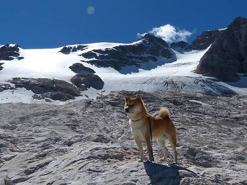 九游娱乐(jiuyou)官网-足球战术分析走进教练员继续教育课堂，业余足球战术教学