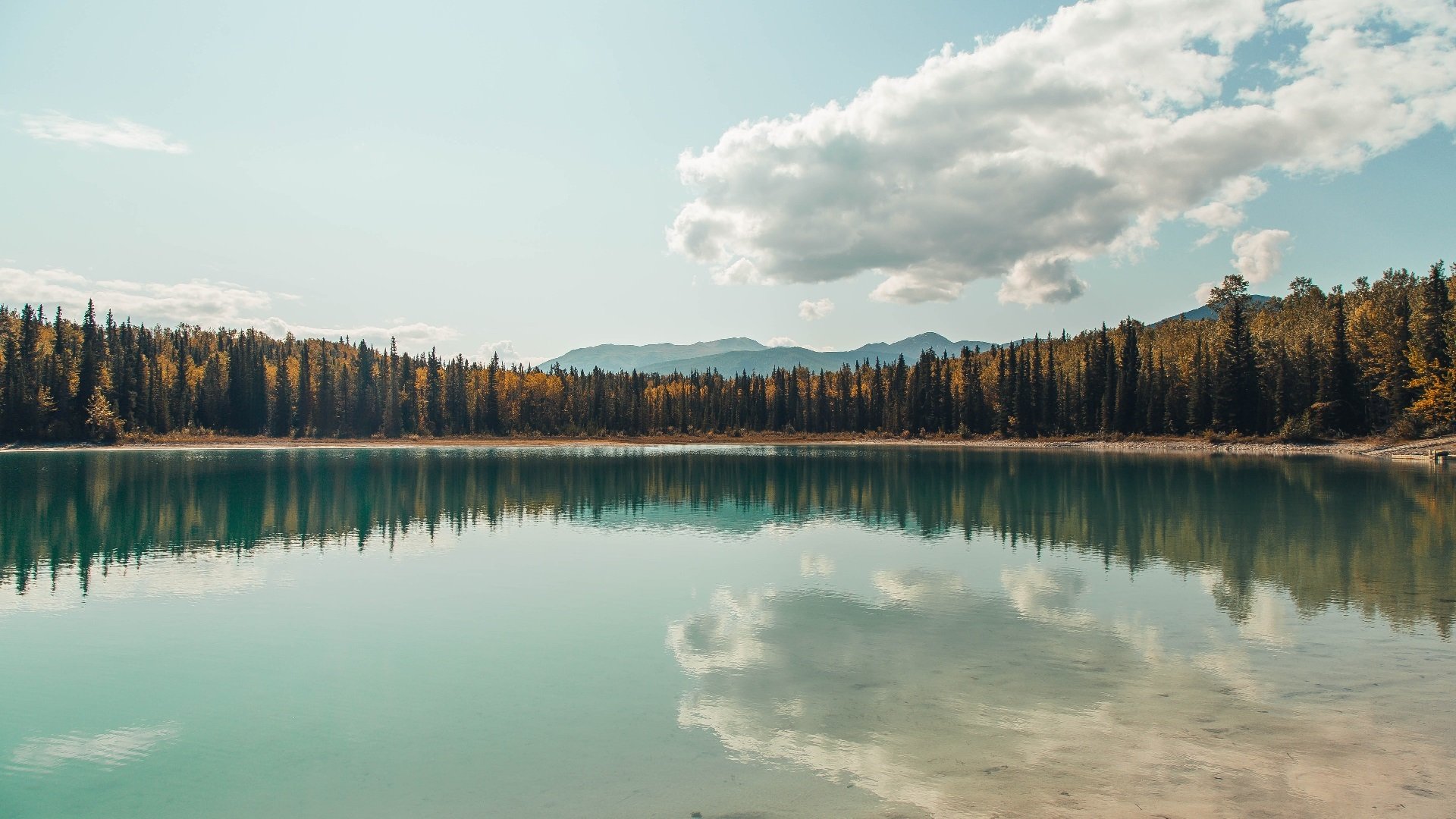 九游娱乐(jiuyou)官方网站-Team Liquid发布年度战略展望，team report