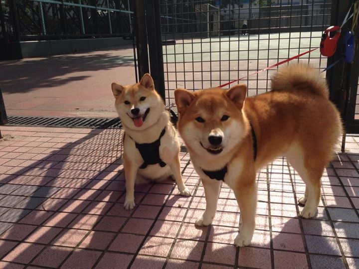 切斯特城客场击败唐卡斯特,实现客场不败战绩,球队士气正高,切斯特城堡