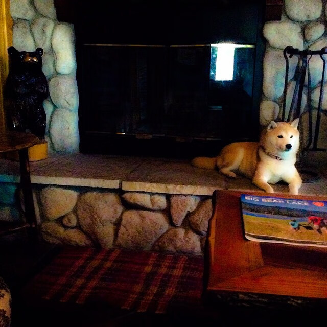 拉齐奥客场不敌萨索洛,科雷亚突破传射得分,拉齐奥科里亚