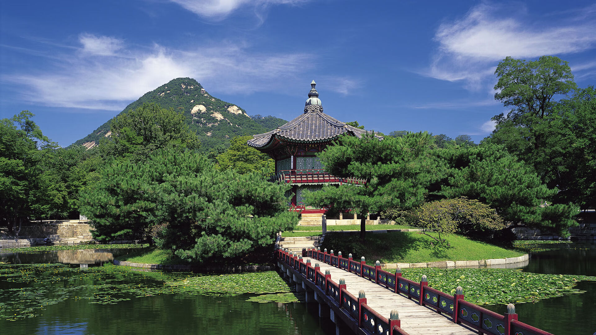 九游网页版官网-河南建业客场逼平山东鲁能泰山队，妙不可延鲁能客场4_1河南建业新浪报道