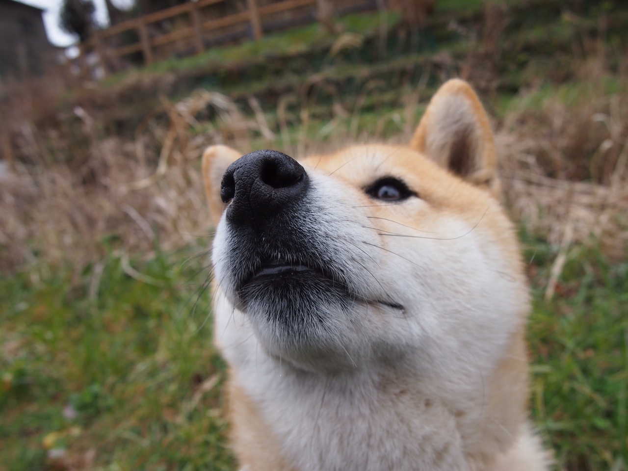 王者荣耀国际冠军杯赛程发布,将采用小组积分制,王者世界冠军杯积分