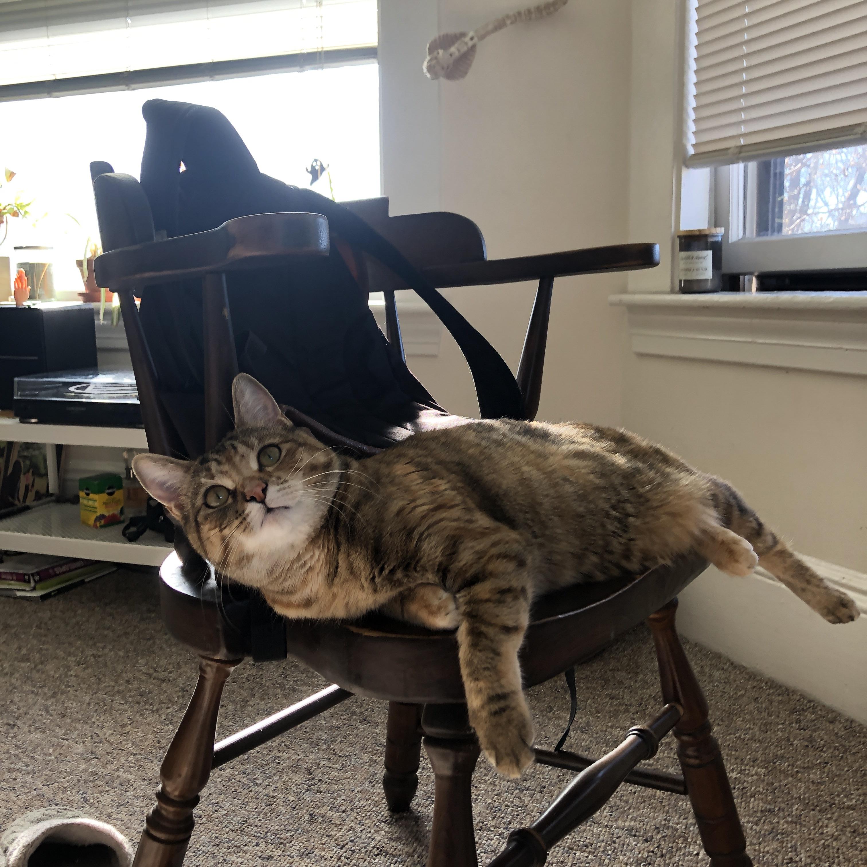 瑞典队表现抢眼！欧洲杯预选赛领先他人一步！，瑞典欧洲杯比赛分析