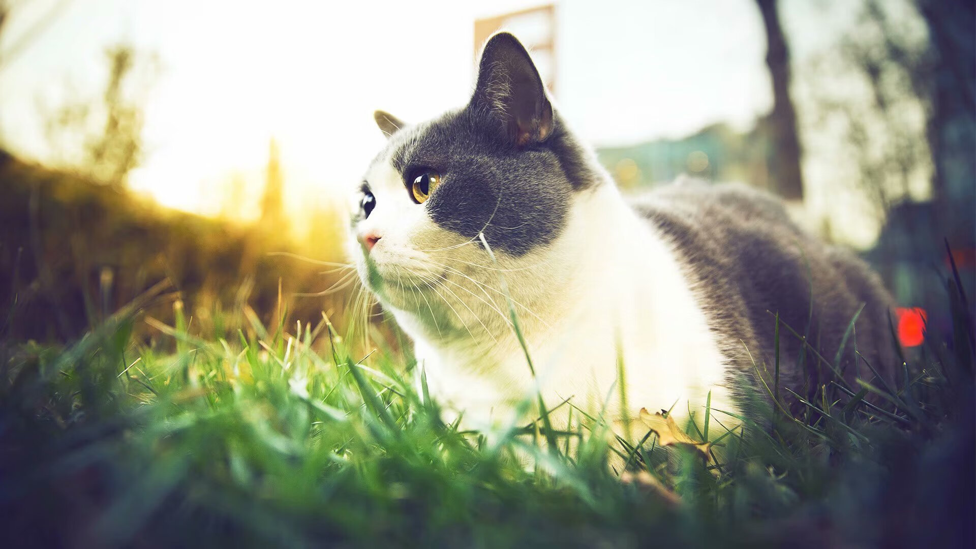 策尔塔分享对手点球，获得宝贵一分