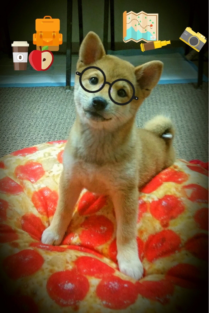 西班牙队成功进军欧洲杯,小胜乌克兰,西班牙队 欧洲杯