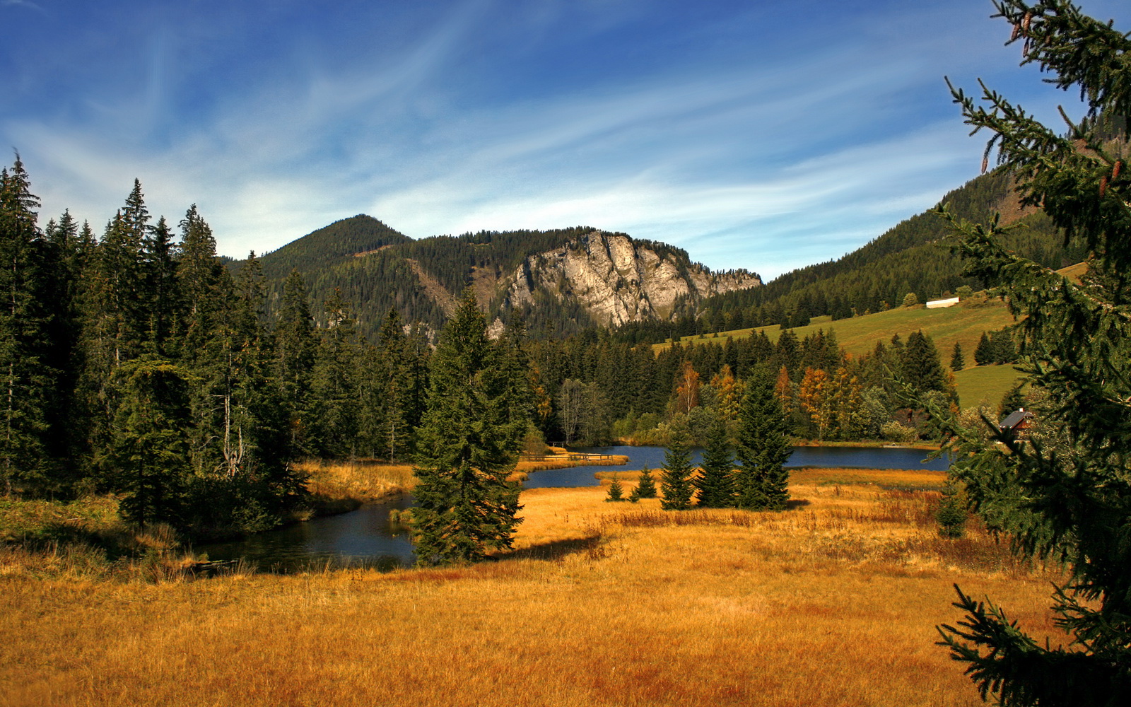九游电脑版-逆转体操新人成功逆袭，逆转训练