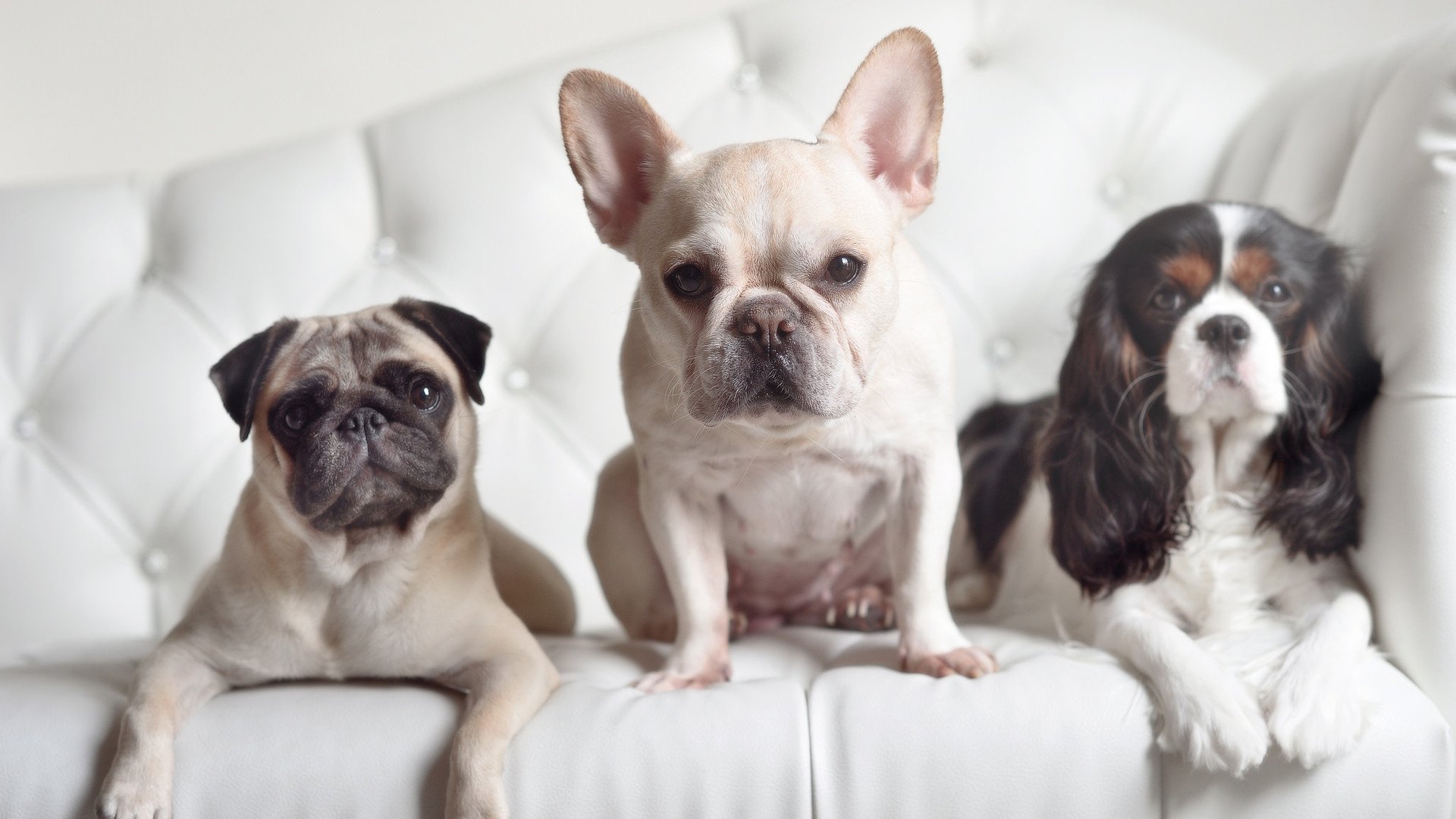 九游APP官网-队长连续发挥出色，带领球队征服对手，球队队长的意义