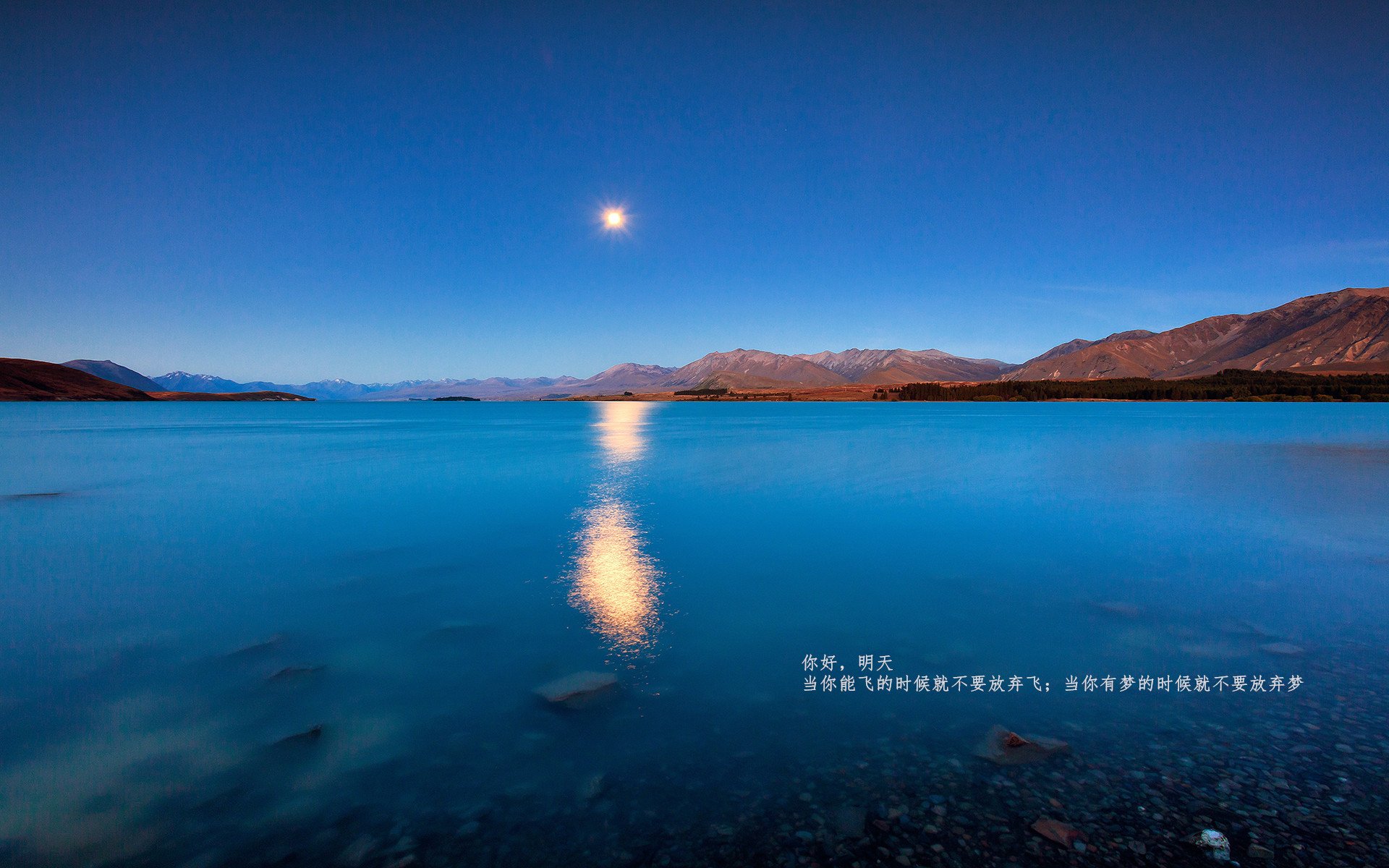 顶级比赛:广州战队实现暴力碾压对手,广东战队