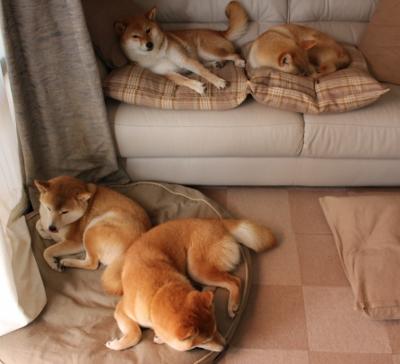 NBA赛季进攻战术演变,nba进攻战术图解