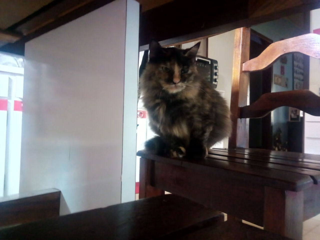 世界青少年射箭锦标赛中国队表现抢眼,青少年射箭比赛以后有没有前途