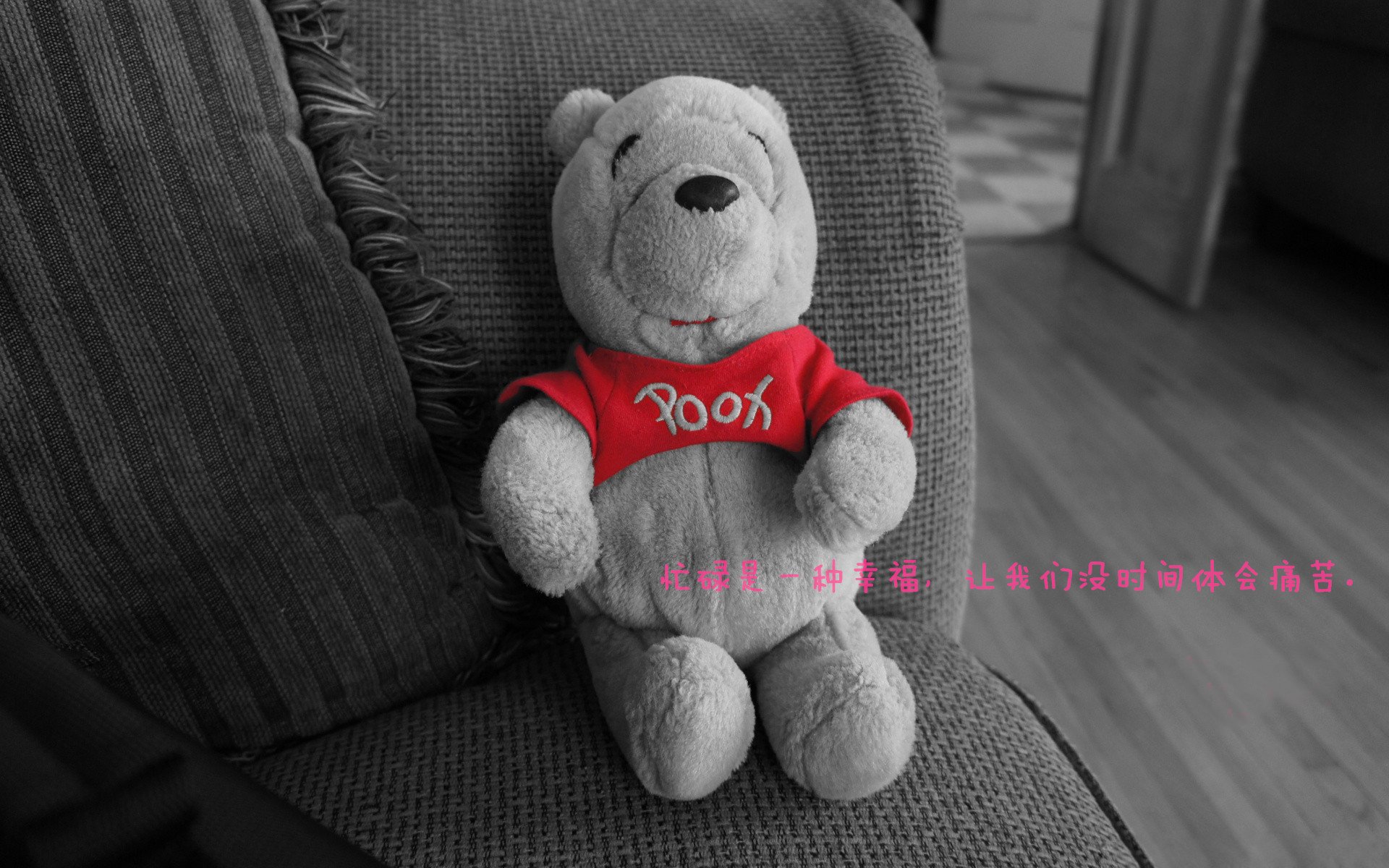 全国青少年排球锦标赛北京赛区火热开战,2021全国青少年排球比赛