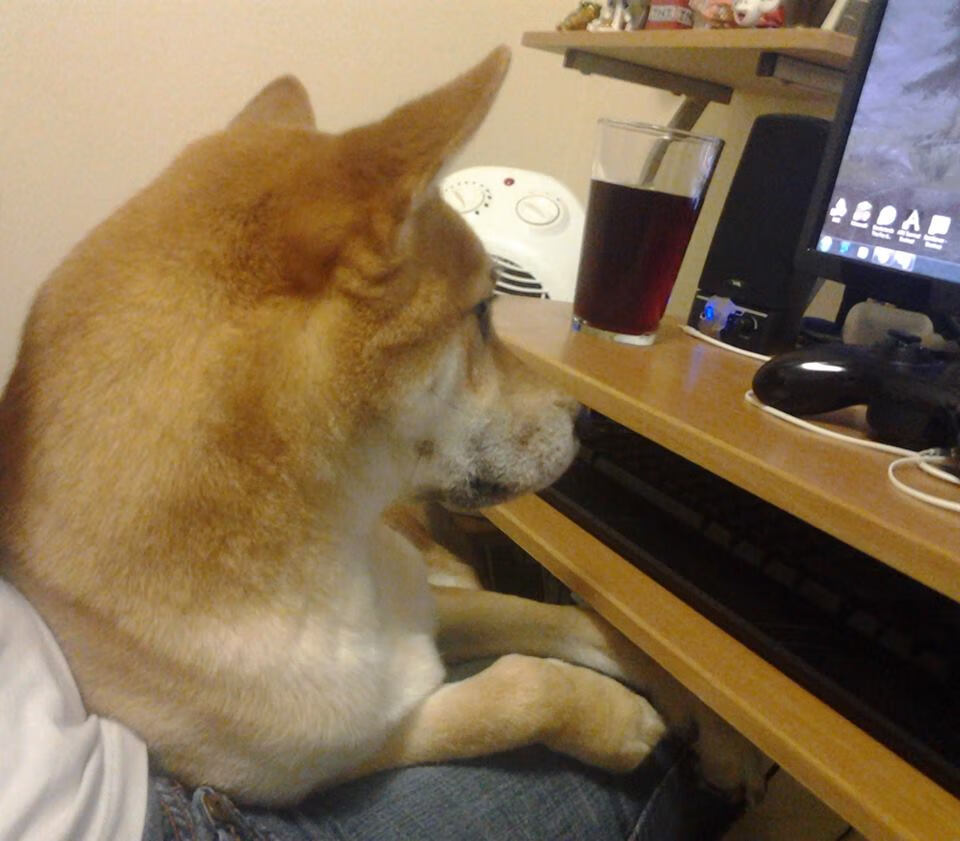 九游娱乐-“亚戈·卡尔曼的脚下功夫和全能球技，成就阿根廷美洲狮队的辉煌”