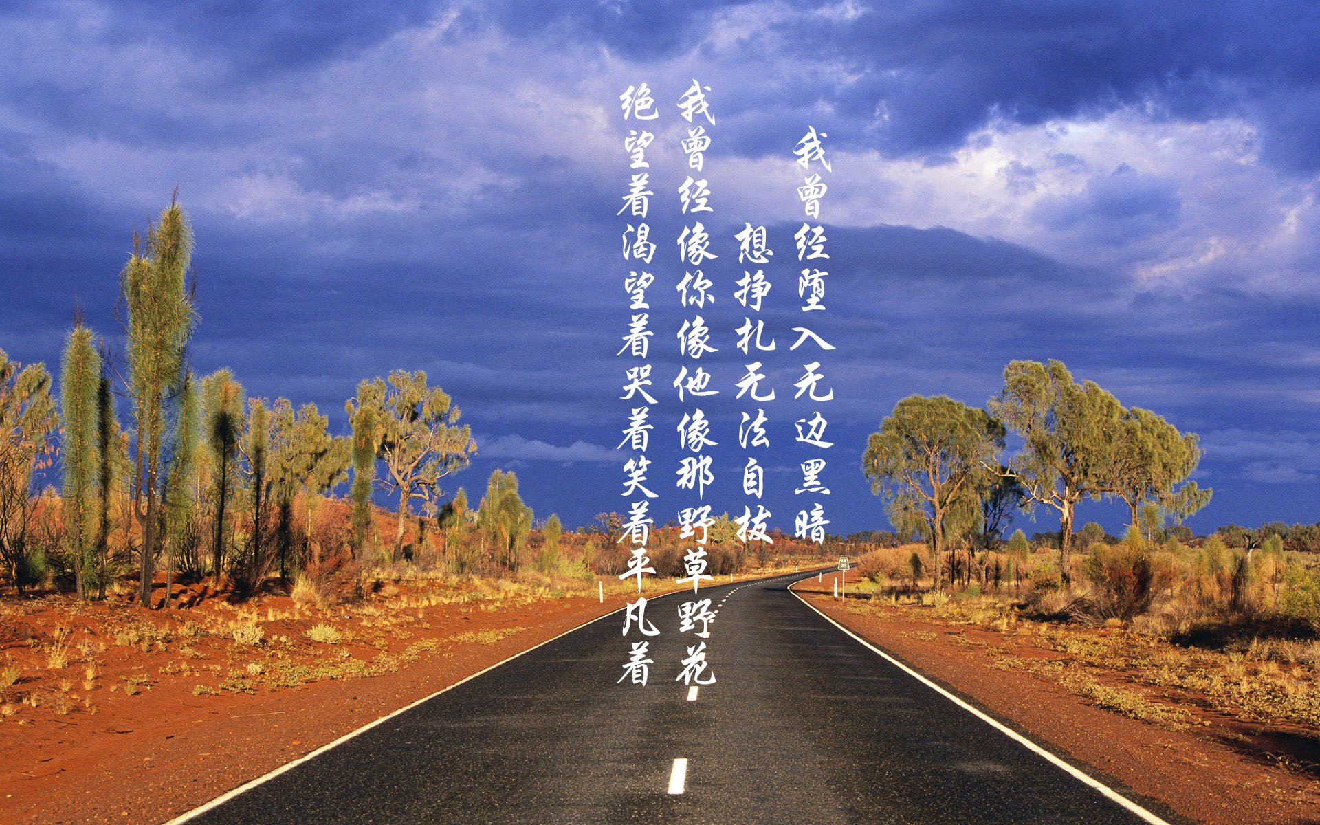 九游网页版官网-“萨尔·巴赫在南非国家队的首秀：展现非凡潜力”