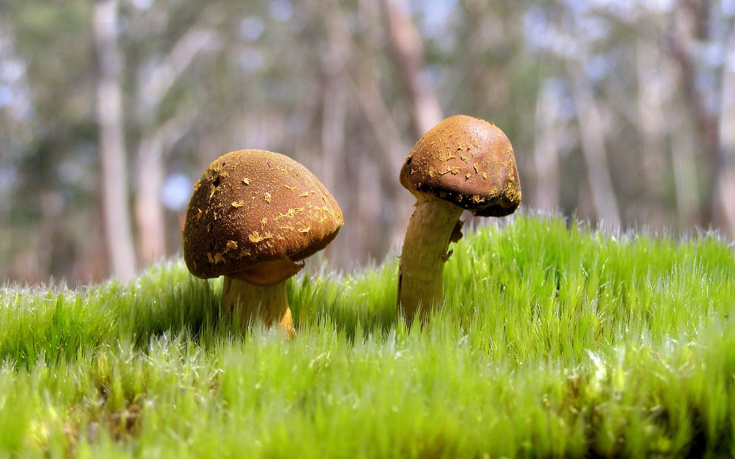 新闻中心公开新一届国家体育科技顾问专家名单,国家体育科学协会