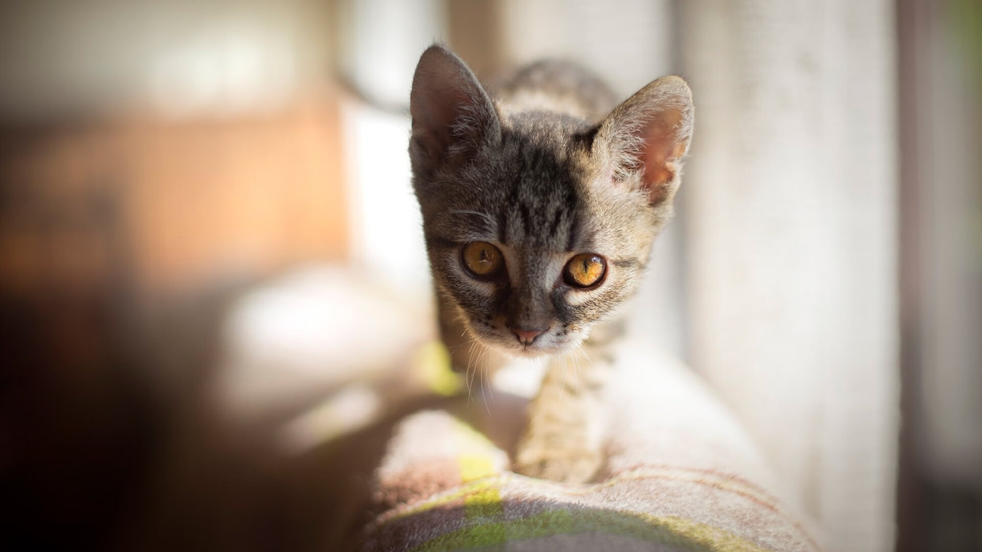 JIU YOU GAME-西甲传奇再续：经典瞬间永不褪色！，西甲传奇前锋